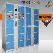 Electronic safe intelligent parcel delivery electronic biometric locker